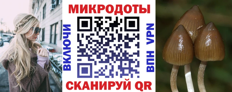 Псилоцибиновые грибы мухоморы наркошоп Ипатово